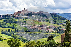 Camerino in Italy Marche over colourful fields photo