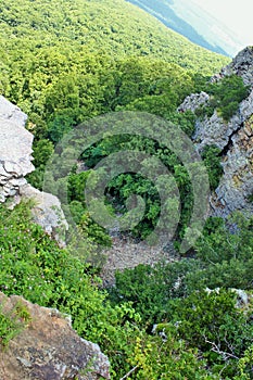 Cameron Bluff overlook