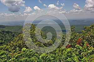 Cameron Bluff Overlook at Mount Magazine