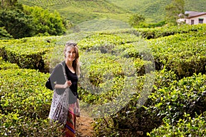 Cameron Highlands Bharat tea plantation