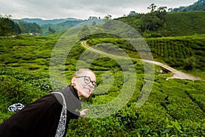 Cameron Highlands Boh tea plantation