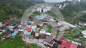 Cameron Highlands, Pahang Malaysia