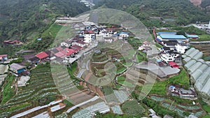 Cameron Highlands, Pahang Malaysia