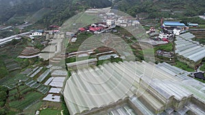 Cameron Highlands, Pahang Malaysia