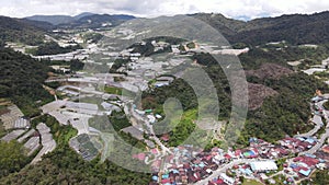 Cameron Highlands, Pahang Malaysia