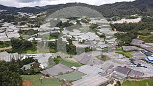 Cameron Highlands, Pahang Malaysia