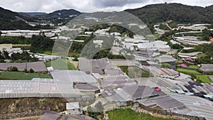 Cameron Highlands, Pahang Malaysia