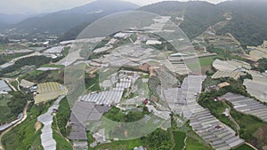 Cameron Highlands, Pahang Malaysia