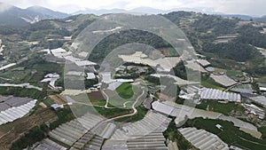 Cameron Highlands, Pahang Malaysia