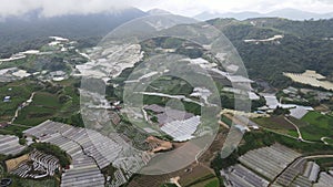 Cameron Highlands, Pahang Malaysia