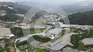 Cameron Highlands, Pahang Malaysia