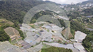 Cameron Highlands, Pahang Malaysia