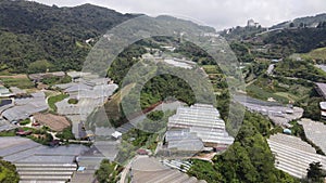 Cameron Highlands, Pahang Malaysia