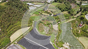 Cameron Highlands, Pahang Malaysia