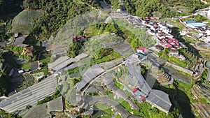 Cameron Highlands, Pahang Malaysia