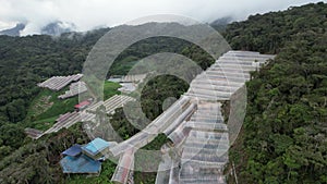 Cameron Highlands, Pahang Malaysia