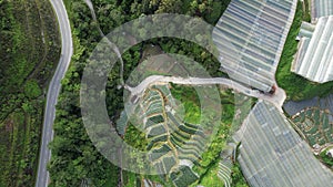 Cameron Highlands, Pahang Malaysia