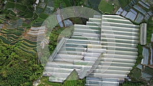 Cameron Highlands, Pahang Malaysia