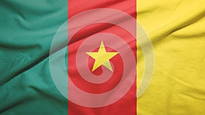 Cameroon  flag with fabric texture photo