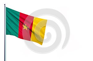 Cameroon national flag isolated on white background.