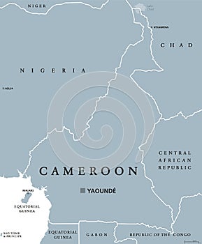 Cameroon political map