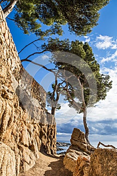 Cami de ronda photo