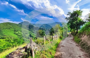 Camin Real del Sellon GR102 track in Redes Nature Park and Biosphere Reserve, Caso municipality, Asturias, Spain photo