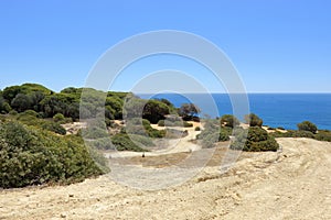 Caminho Da Baleeira Nature reserve near Albufeira