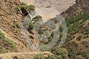 Camino de la Estrella in Sierra Nevada photo