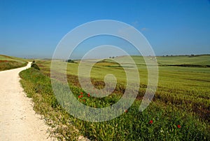 Camino de Santiago countryside Spain photo