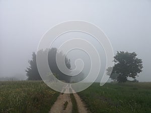 Camino de Santiago / Day 21 / Dawn Mist of Sarria, Spain