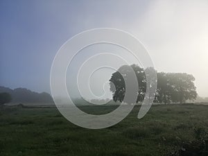 Camino de Santiago / Day 21 / Misty Dawn near Sarria, Spain