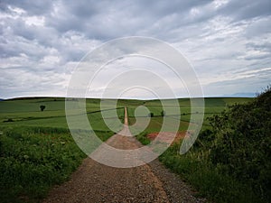 Camino de Santiago / Day 9 / Fields and Sky on the Way