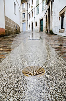  . d'oro pettine conchiglia sul bagnato strade pavimento. la maggioranza famoso pellegrinaggio itinerario Europa 