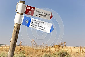 Camino de Santiago de Levante and del Sureste signpost in the countryside