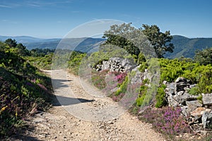 Camino de Santiago, Galicia, Spain photo