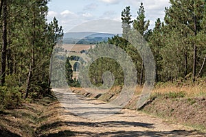 Camino de Santiago, Galicia, Spain photo