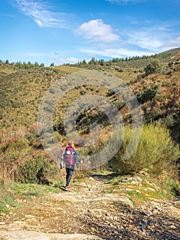 Camino de Santiago - Molinaseca, Spain