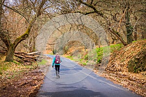 Camino de Santiago - Pereje, Spain