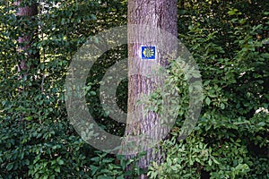 Camino de Santiago sign in Poland