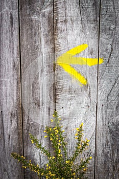 Camino de Santiago, Spain - Yellow Arrow Marking the Way of St James Camino de Santiago