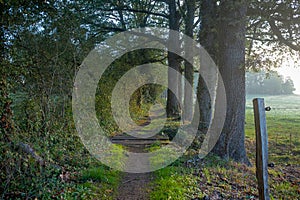 The Camino de Santiago trail in France on a fall morning