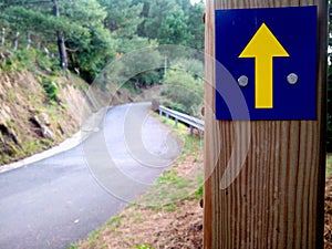 Camino de Santiago (Way of St. James) Yellow arrow.