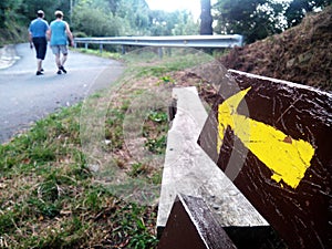 Camino de Santiago (Way of St. James) Yellow arrow.