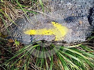 Camino de Santiago (Way of St. James) Yellow arrow.