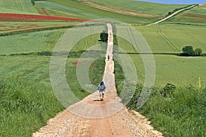 Camino Frances hiking pilgrims in rural landscape