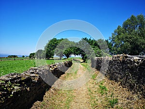 Camino de Santiago / Day 20 / Dry Wall and Fields of Galicia, Spain photo