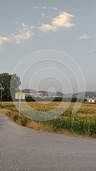 Camino naturaleza cartel photo