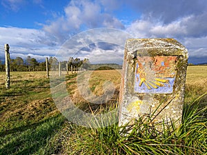 Camino Santiago de Compostela - traditional camino shell symbol on milestone photo