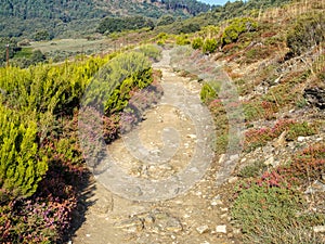 Camino track at Punto Alto - Manjarin